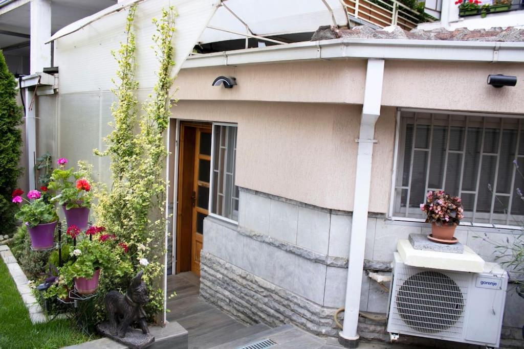 Vini Studio With Private Parking Scopia Exterior foto
